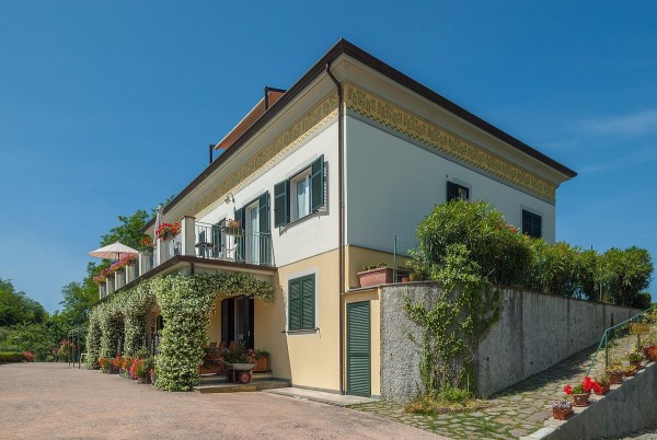 Gli ulivi Montalbano