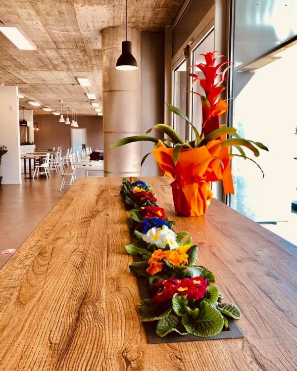 Ristorante Essenziale Natura e Cucina