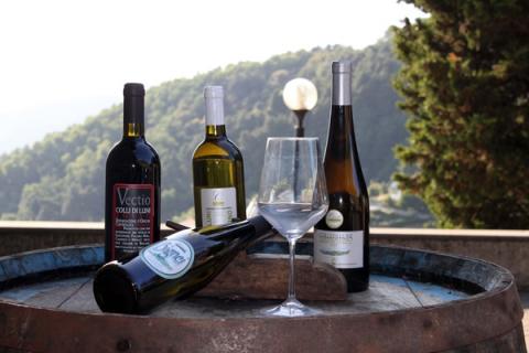 Cooperativa I Castelli- Wine Experience