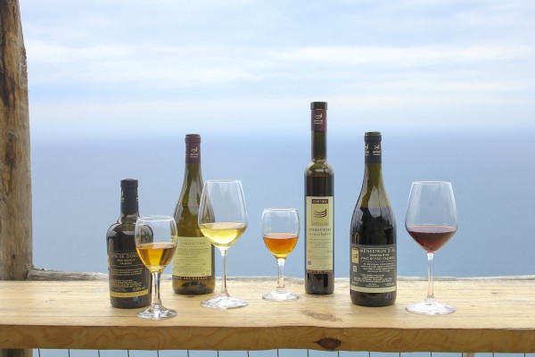 Agricena - Cantina Cappellini