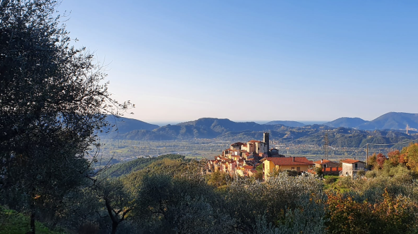 PicNic all'ombra del ciliegio - Lucchi e Guastalli