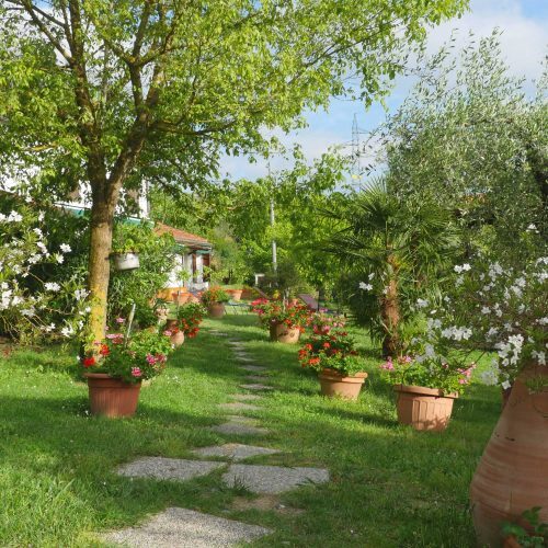 La Bianca Fattoria, Agriturismo