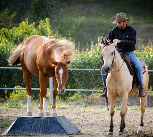MBH Ranch- Equitazione e Trekking